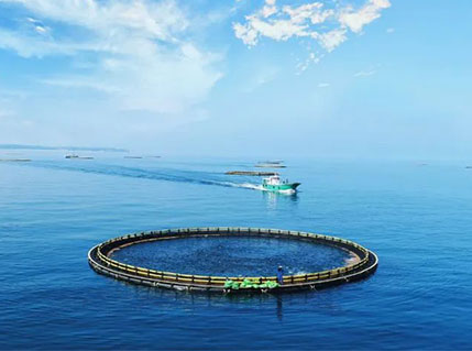 品牌输出 | 翔泰“可持续水产养殖”出海意大利！